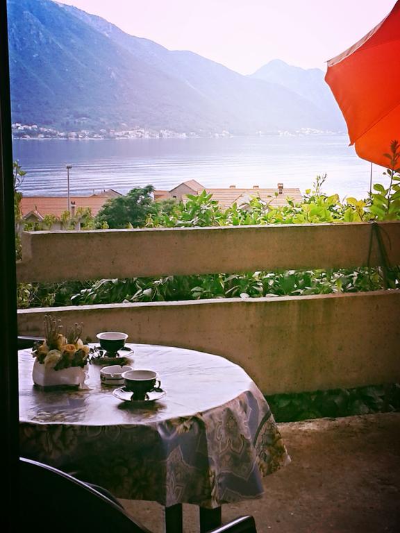 Apartments Dobrisa Kotor Rom bilde